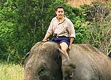 Jeff on Elephant