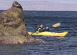 Jeff in Kayak near sea lions.